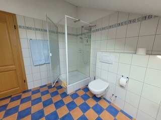 Apartamento Waldbreitbach Características 39