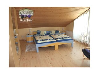 Apartamento Waldbreitbach Características 40