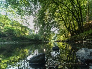 Appartement Waldbreitbach Buitenaudio-opname 14