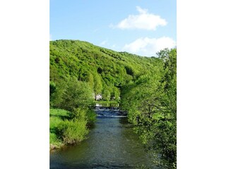 Die Wied bei Waldbreitbach