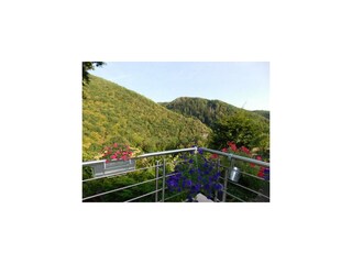 Appartement Waldbreitbach Buitenaudio-opname 4