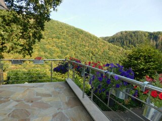 Appartement Waldbreitbach Buitenaudio-opname 10
