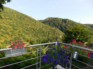 Appartement Waldbreitbach Buitenaudio-opname 11