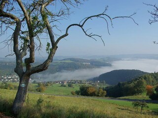 Appartement Waldbreitbach Buitenaudio-opname 13