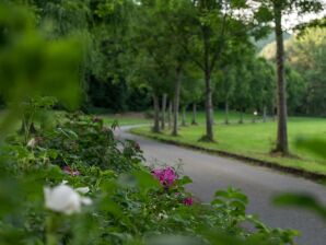 Vakantiehuis, douche en bad, WC, 3 slaapkamers