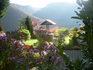 Appartamento Waldbreitbach Registrazione all'aperto 2