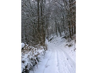 Appartamento Waldbreitbach Registrazione all'aperto 17