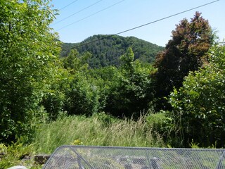 Appartamento Waldbreitbach Registrazione all'aperto 20