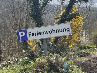 Apartamento Waldbreitbach Grabación al aire libre 33