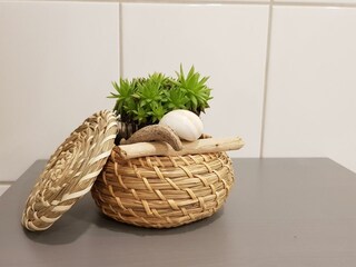 Appartement Waldbreitbach Kenmerken 26