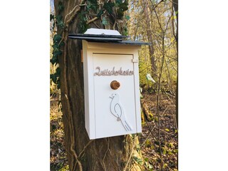 Apartamento Waldbreitbach Grabación al aire libre 12