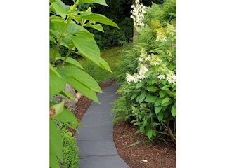 Appartement Waldbreitbach Buitenaudio-opname 17