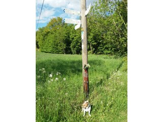 Appartamento Waldbreitbach Registrazione all'aperto 18