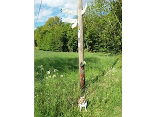 Appartement Waldbreitbach Buitenaudio-opname 18