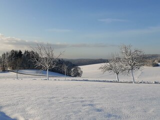Apartamento Oberraden Grabación al aire libre 15