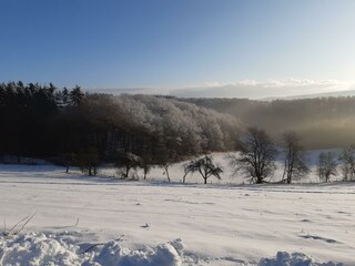 Appartamento Oberraden Registrazione all'aperto 18