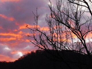 Apartamento Waldbreitbach Grabación al aire libre 8