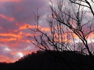 Appartement Waldbreitbach Buitenaudio-opname 10