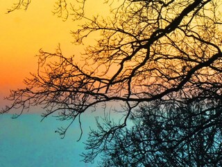 Appartamento Waldbreitbach Registrazione all'aperto 34