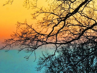 Appartement Waldbreitbach Buitenaudio-opname 11