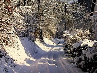 Appartamento Waldbreitbach Registrazione all'aperto 35