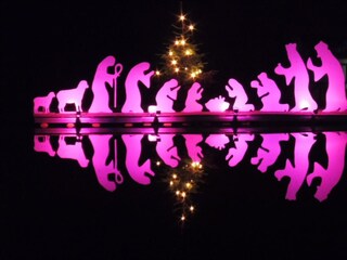 Apartamento Waldbreitbach Grabación al aire libre 25