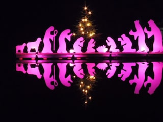 Appartement Waldbreitbach Buitenaudio-opname 32