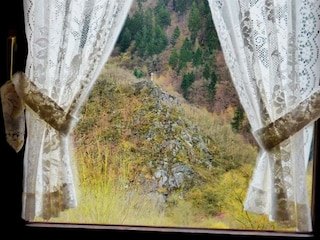 Appartement Waldbreitbach Buitenaudio-opname 35