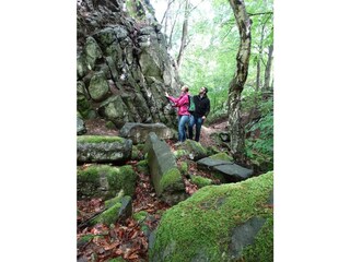 Natur entdecken am Roßbacher Häubchen
