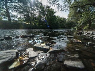 Ein Ausflug an die Wied