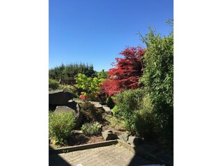 Garten 1