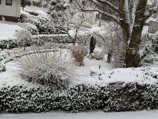 Garten im Winter 2018