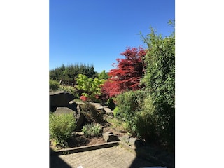 Garten 1