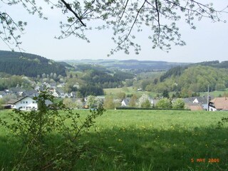 Landschaft-Astert_3
