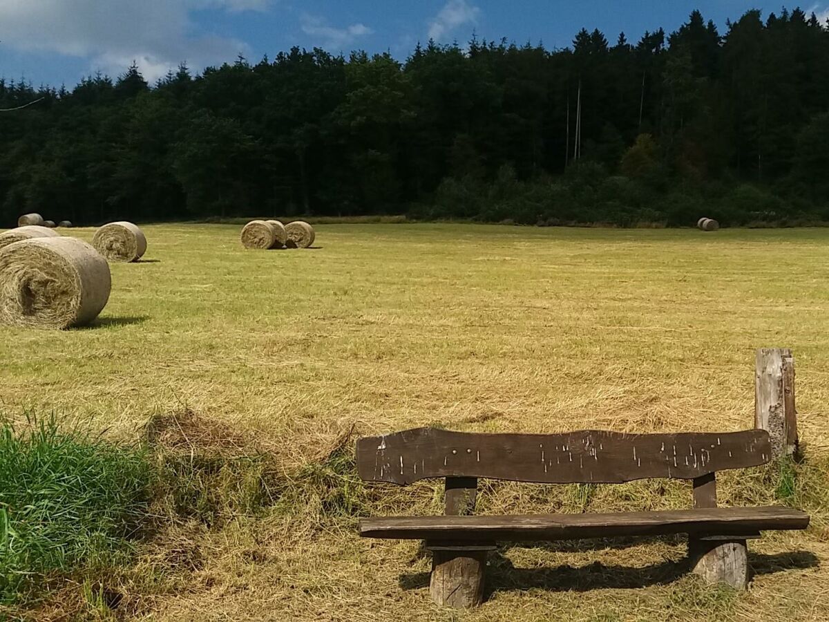 Rund um den Buchenberg