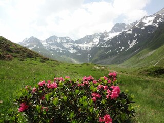 Residenza Saltaus Ambiente 26