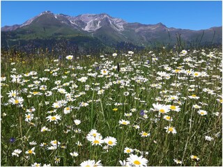 Residenza Saltaus Ambiente 27