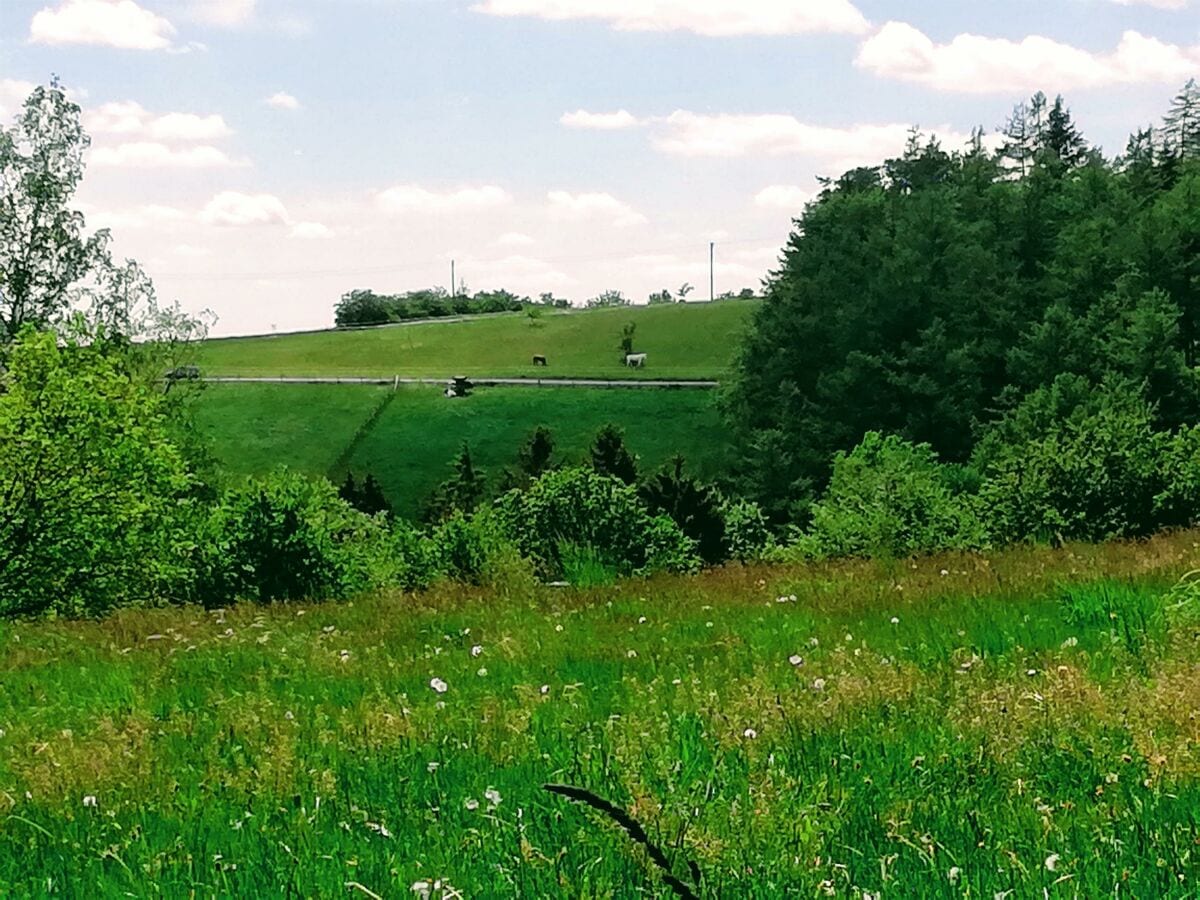 Wanderung rund um Katzwinkel