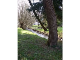 Bachlauf