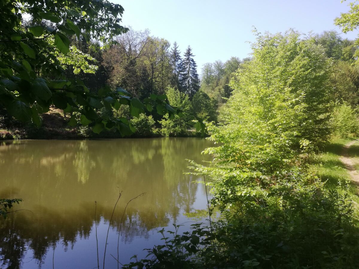 Alsentaler-Weiher -Entspannung pur