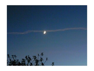 Blick aus dem Fenster