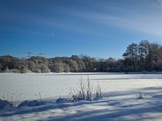 Ferienhaus-Meyer-Lautzenbrücken-Winter-Weiher