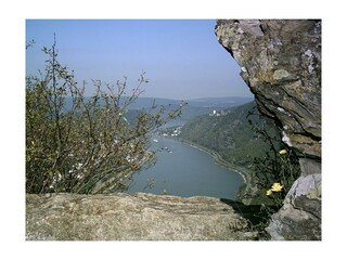 Unterwegs auf dem Rheinsteig