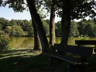 Weiher Lautzenbrücken 2