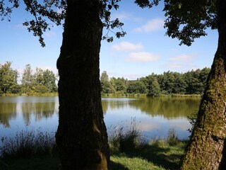 Weiher Lautzenbrücken 3