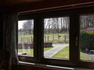 Schlafzimmer 1 mit Ausblick auf ein Straußengehege