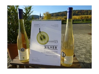 Blanc de Noir 2014 awc vienna