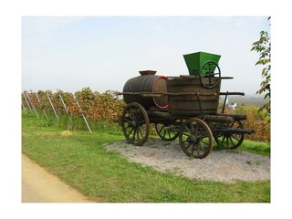 Alter Erntewagen am Sonnenberg