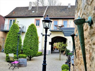 Apartamento Neustadt an der Weinstraße Grabación al aire libre 10