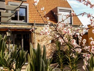 Apartamento Neustadt an der Weinstraße Grabación al aire libre 11